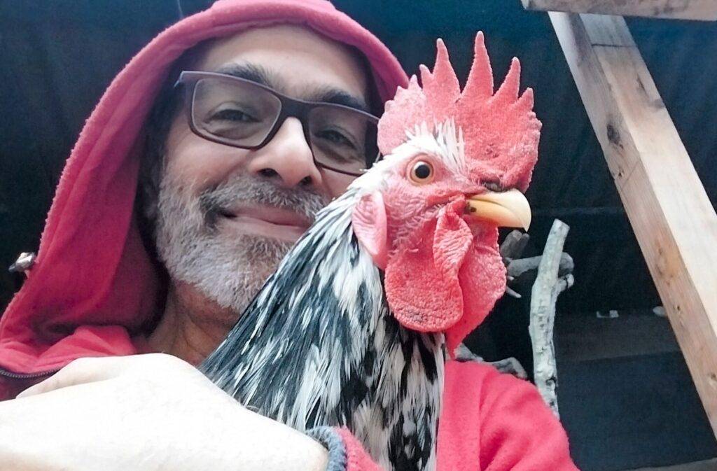 Chicken Daddy with PariZaad