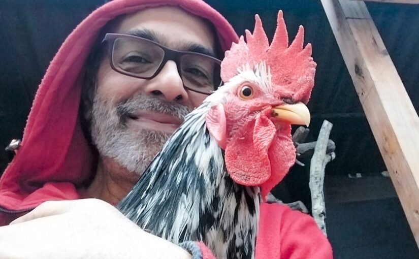 Chicken Daddy in Croydon