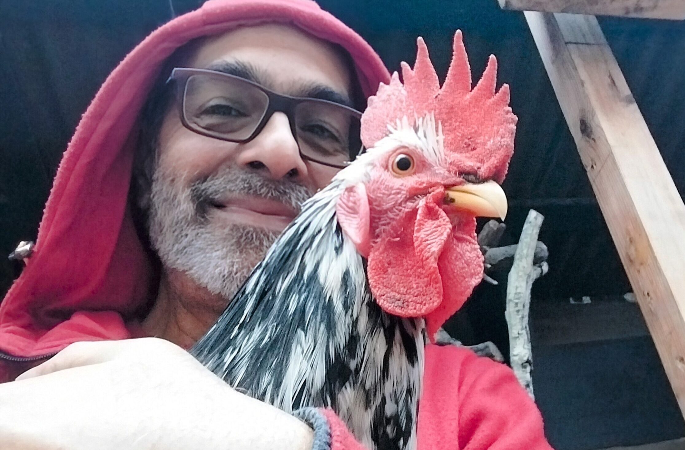 Chicken Daddy with PariZaad
